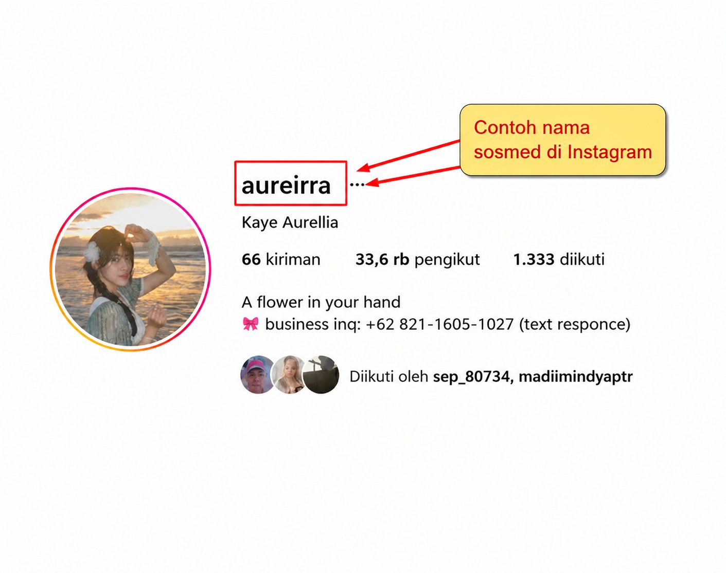 Contoh pengisian akun Instagram