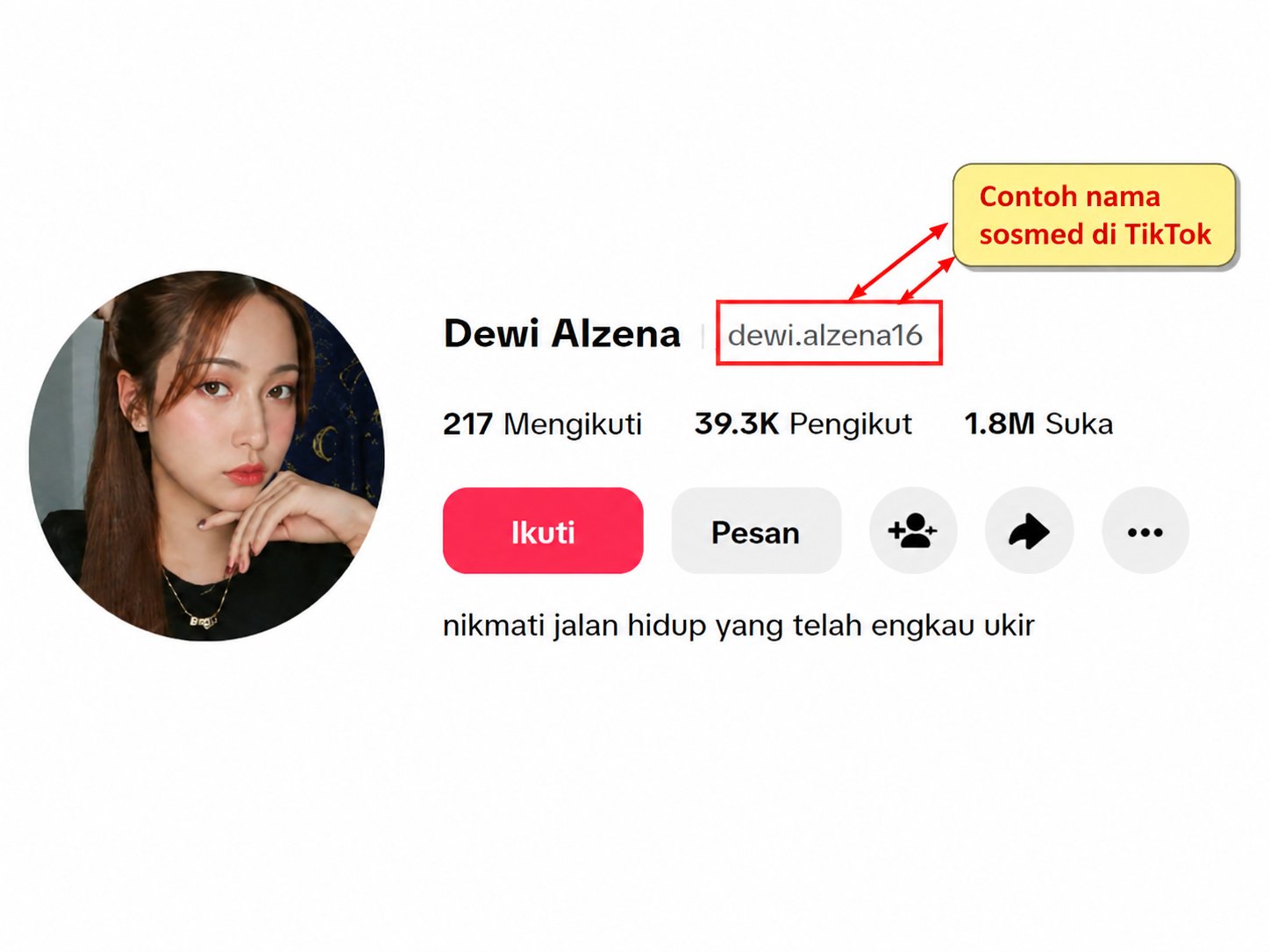Contoh pengisian akun TikTok